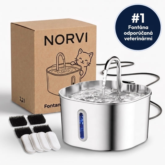 Norvi I Fontána pre mačku