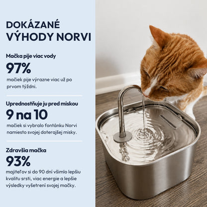 Norvi I Fontána pre mačku