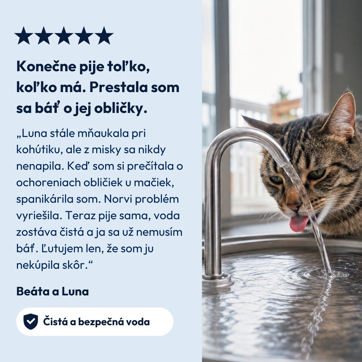 Norvi I Fontána pre mačku