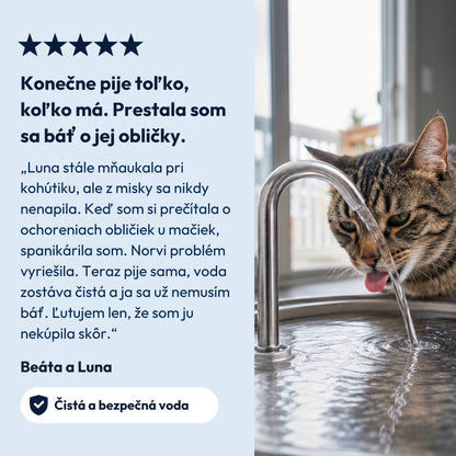 Norvi I Fontána pre mačku