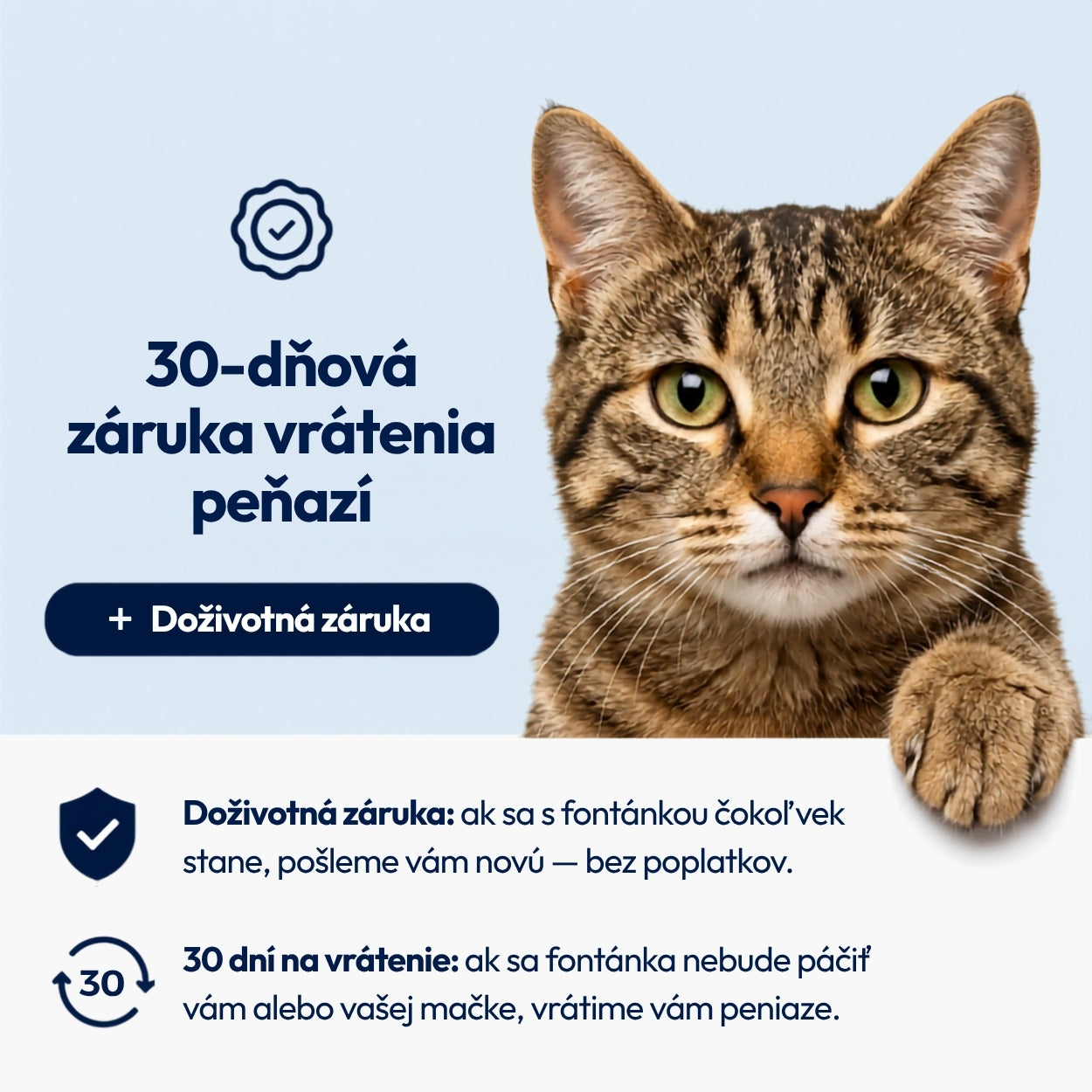 Norvi I Fontána pre mačku