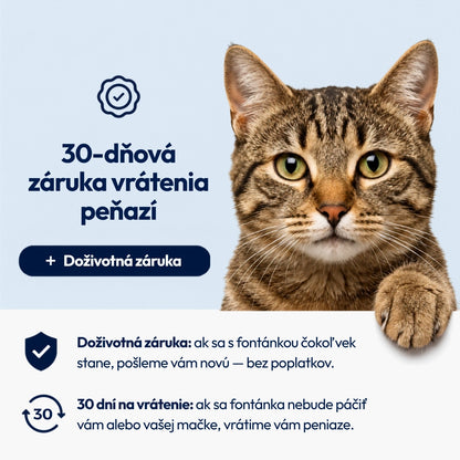 Norvi I Fontána pre mačku